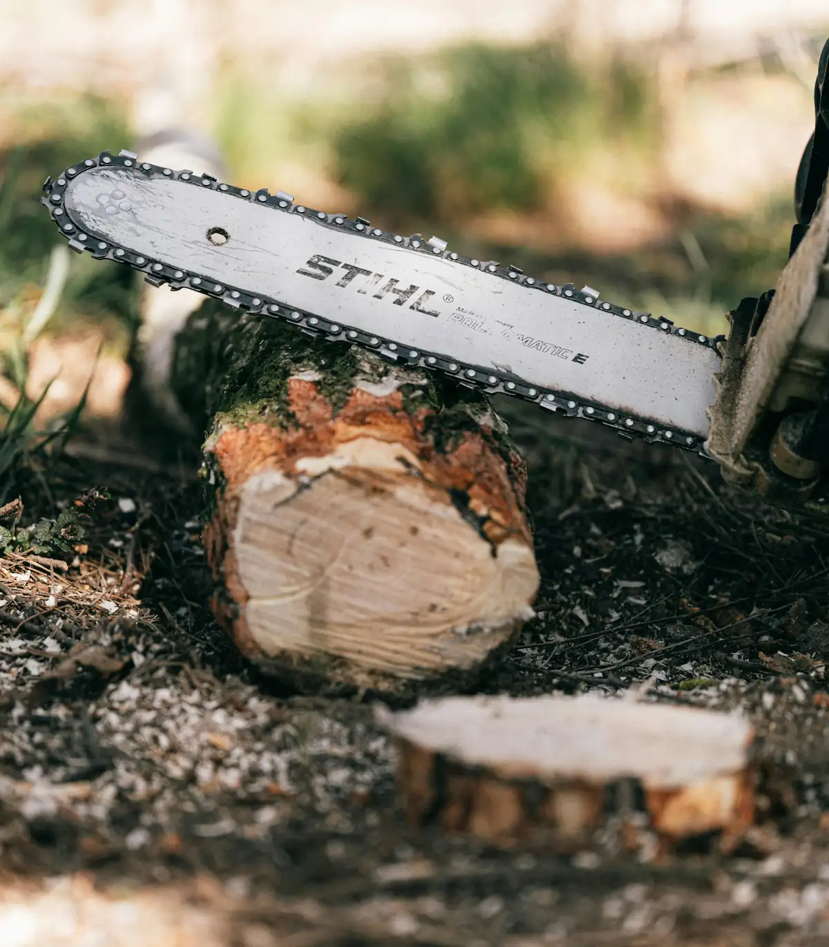 Tronçonneuse professionnelle d'arboriste — le coût d'un chantier dépend de l'arbre, de l'accès et des risques