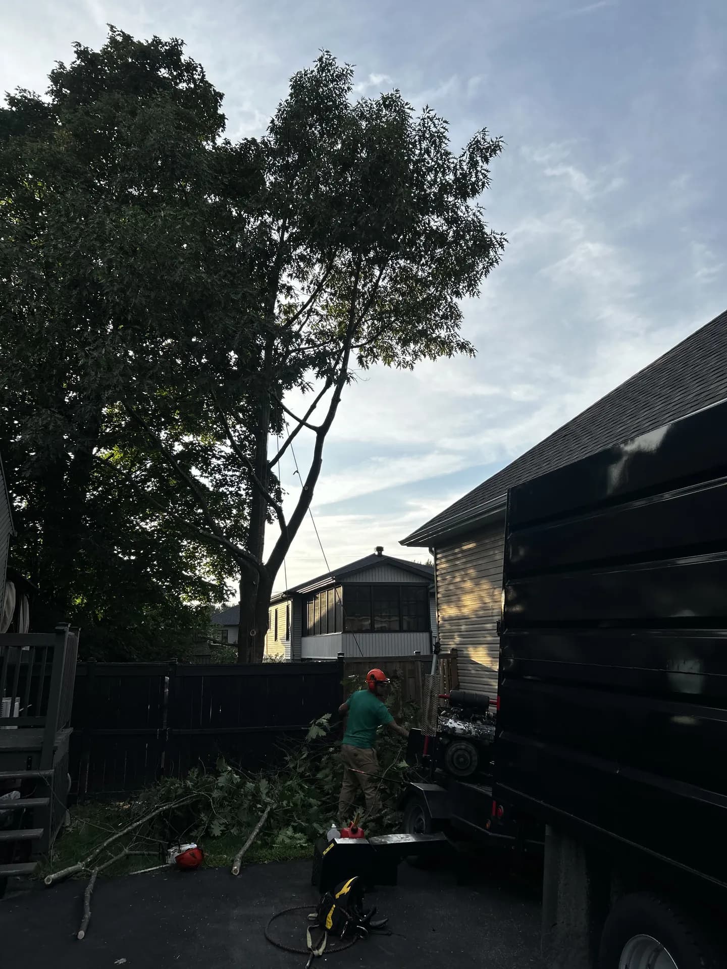Arboriste Apex alimentant la déchiqueteuse avec les branches retirées au-dessus de la toiture voisine, à Victoriaville