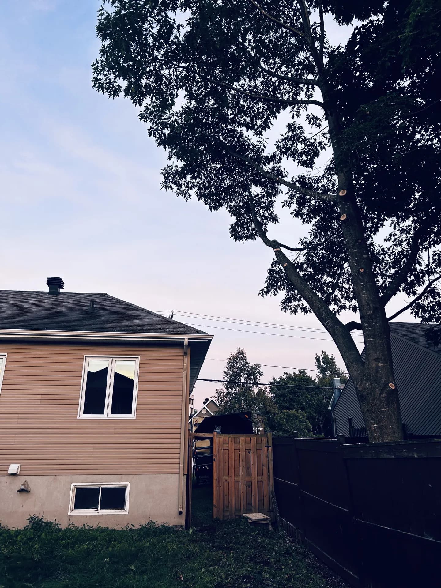 La même toiture dégagée après l'élagage : les branches ne surplombent plus le toit et le chêne garde sa forme naturelle