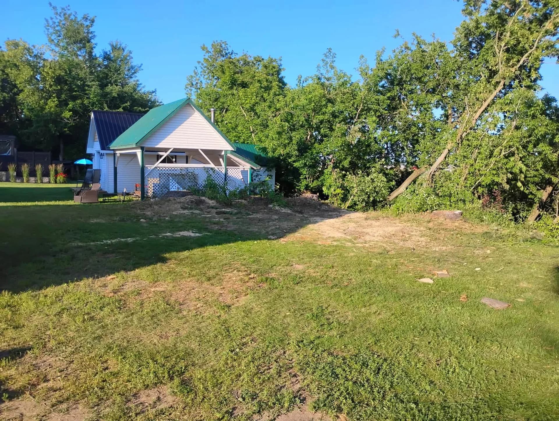 Terrain dégagé et nettoyé une fois l'abattage terminé, Saint-Albert